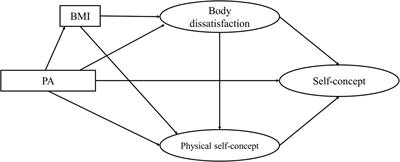 Effect of Physical Activity on Self-Concept: Theoretical Model on the Mediation of Body Image and Physical Self-Concept in Adolescents